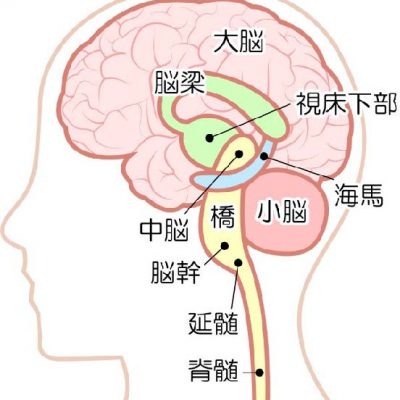 折れない心の作り方